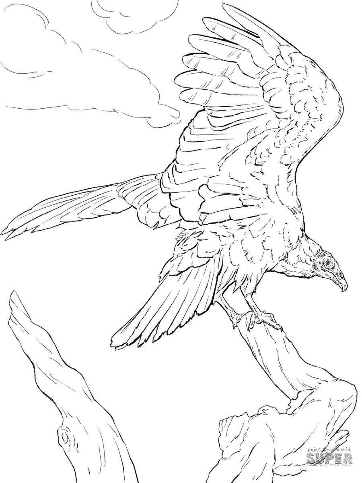 Coloring page elegant vulture