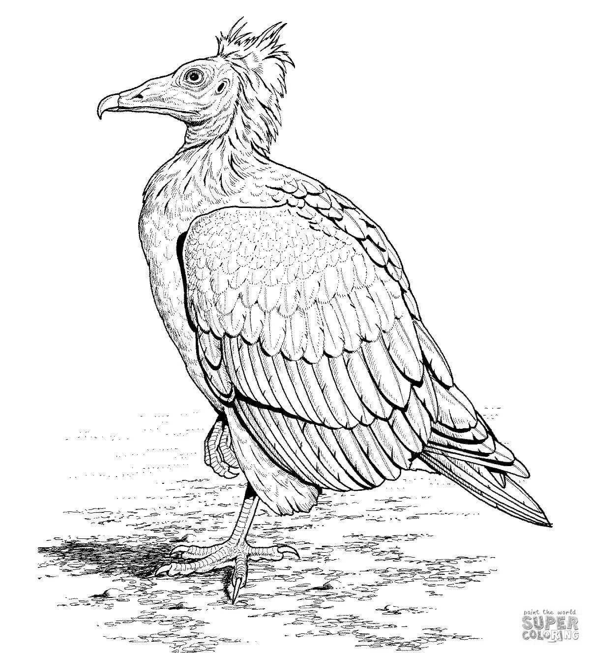 Gorgeous Vulture coloring page