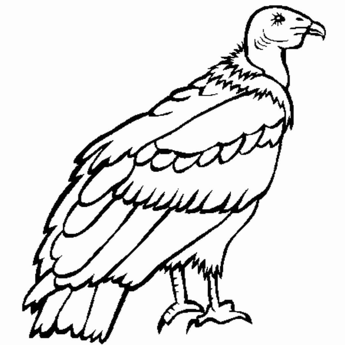 Outstanding vulture coloring page