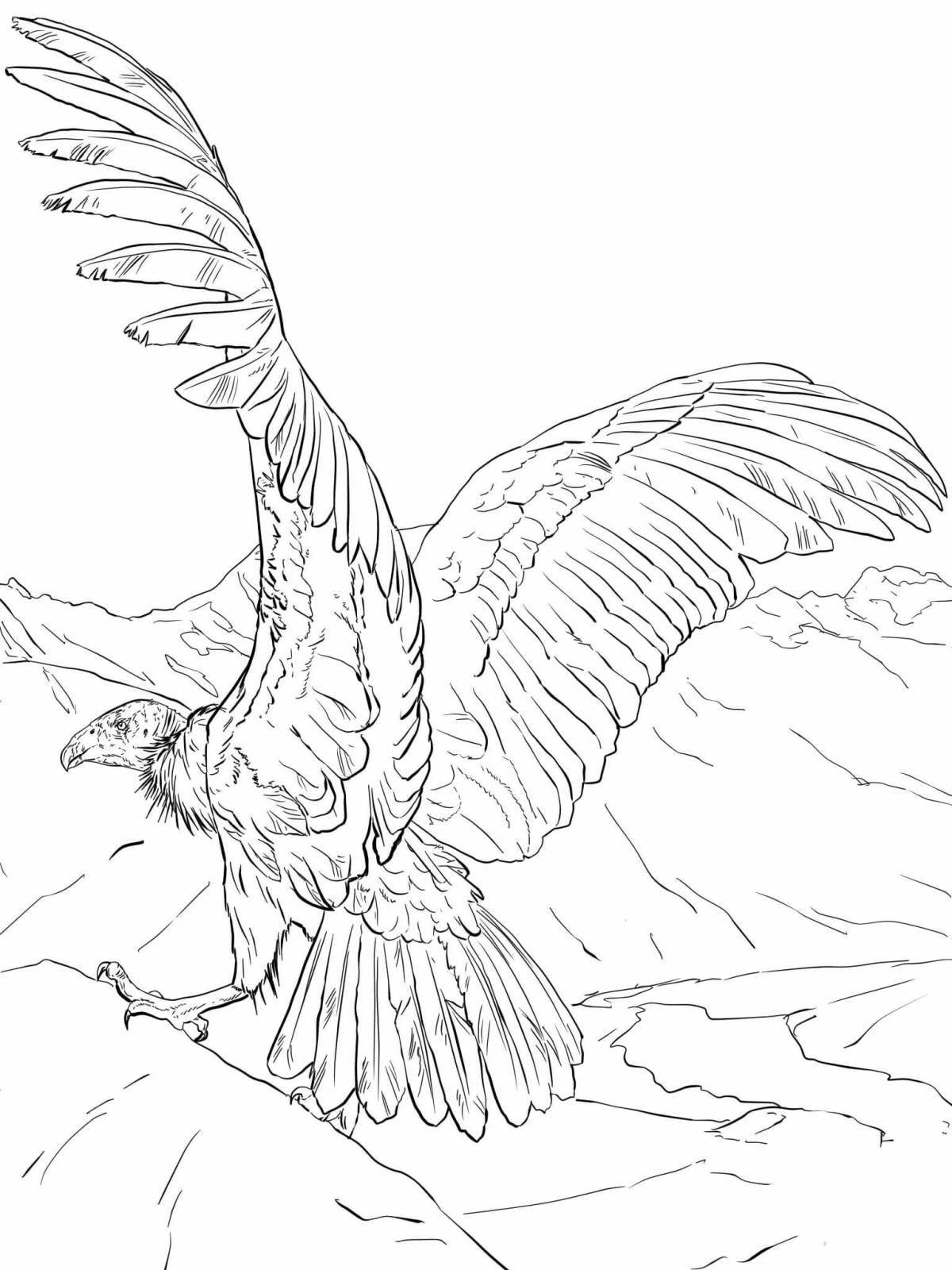 Fairy vulture coloring page