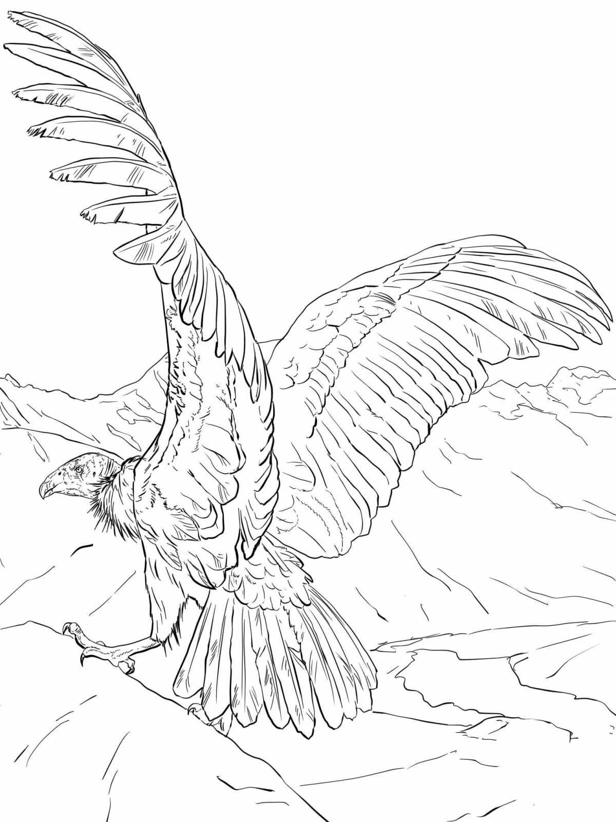 Photo Fairy vulture coloring page