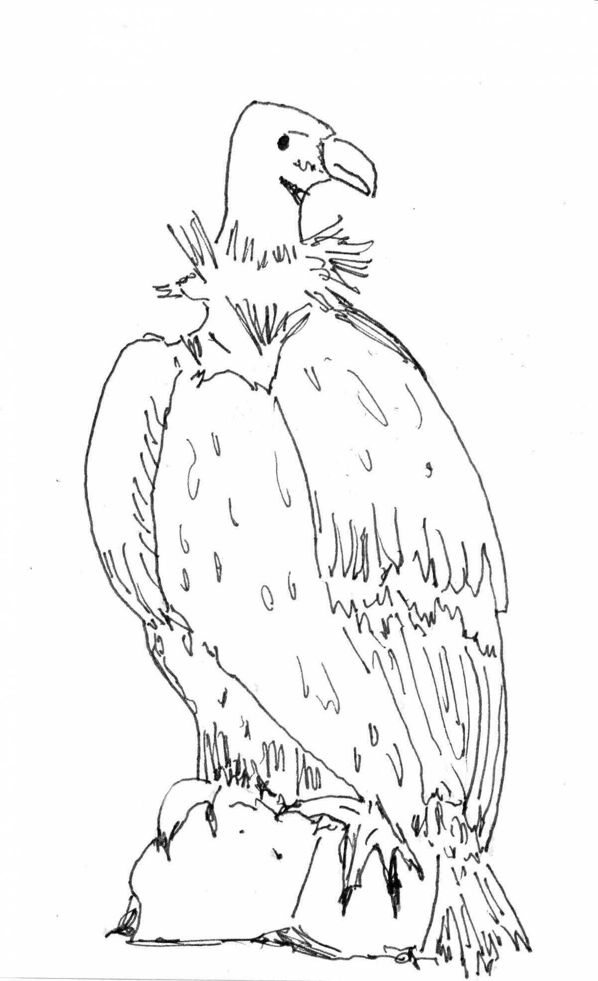 Great vulture coloring page