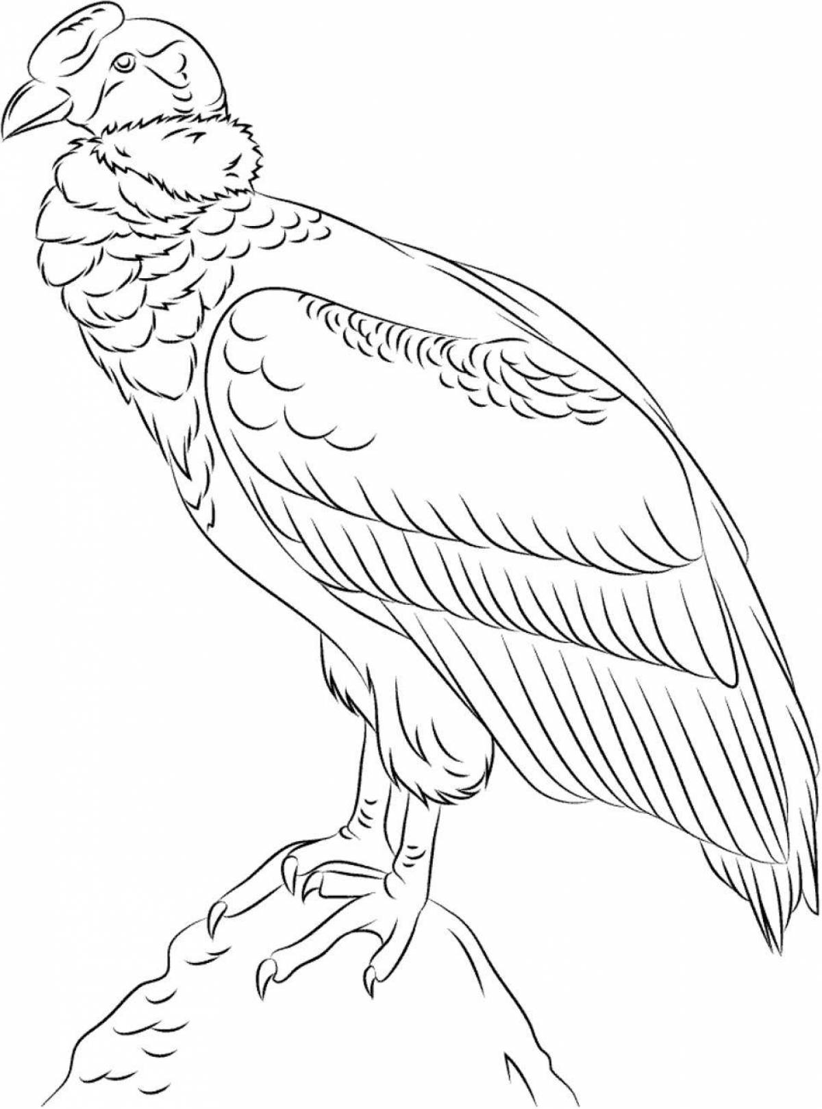 Photo Beautiful vulture coloring page