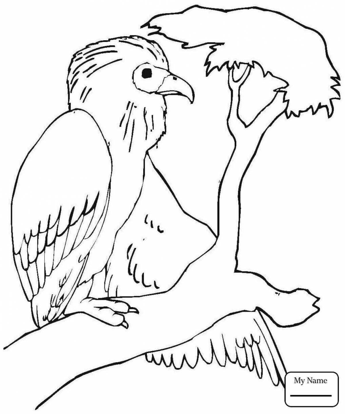 Coloring page spectacular vulture