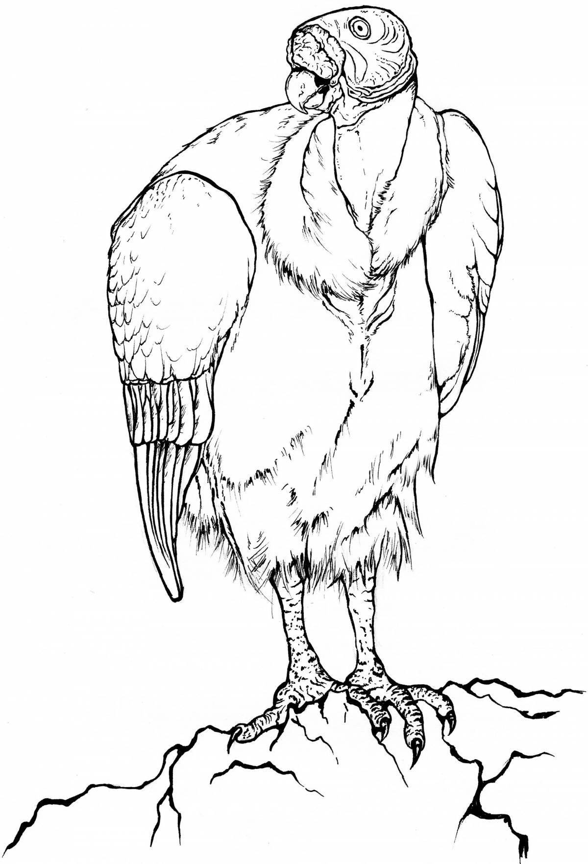 Unique vulture coloring page