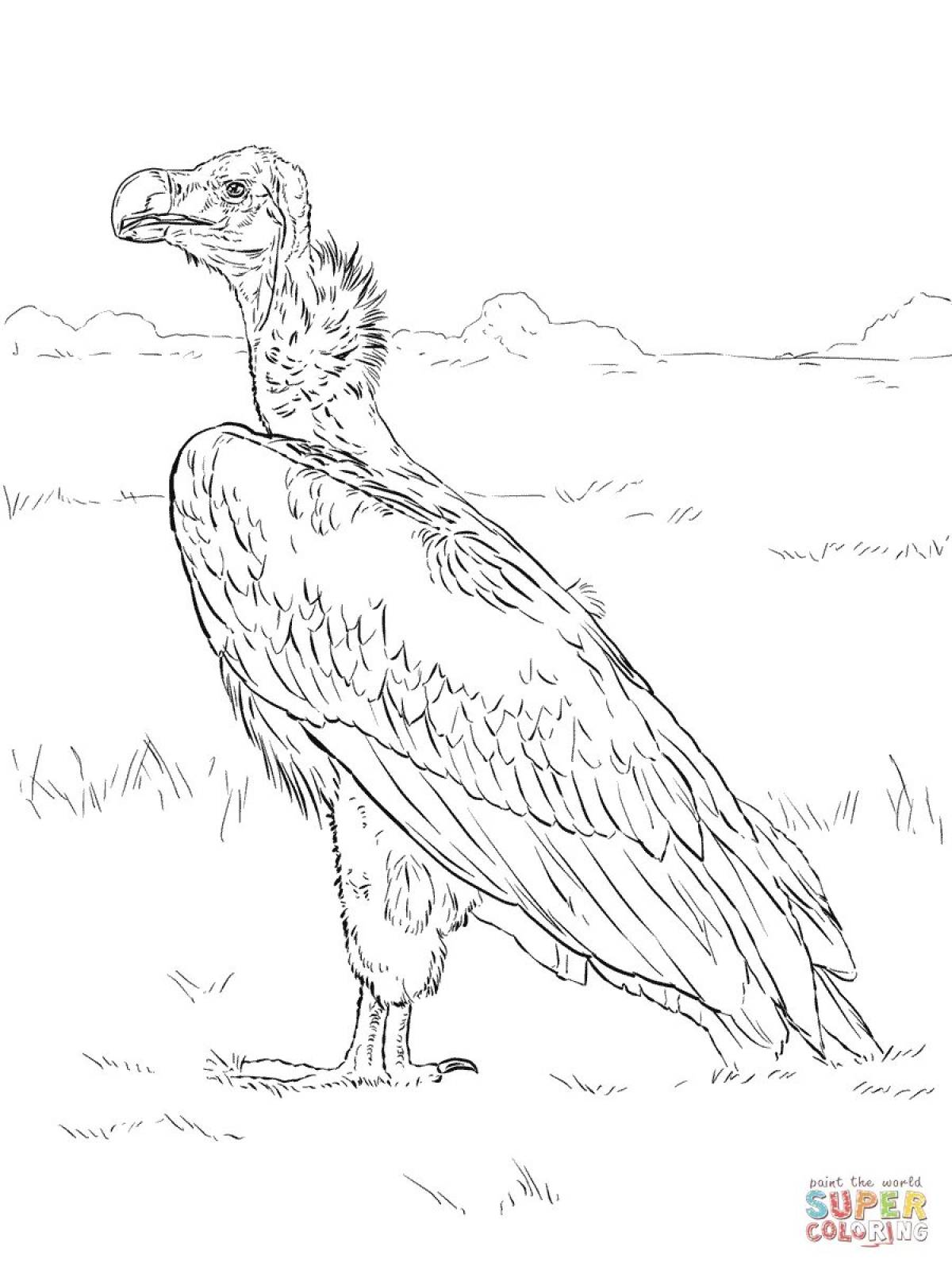 Adorable vulture coloring page