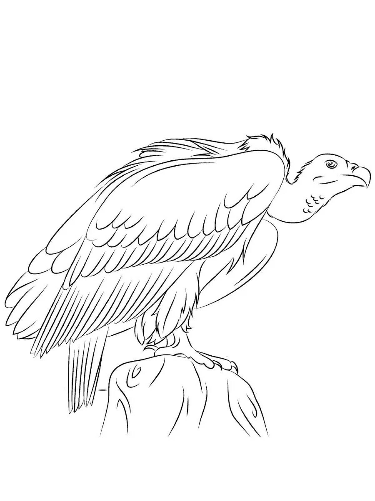 Colouring serene vulture