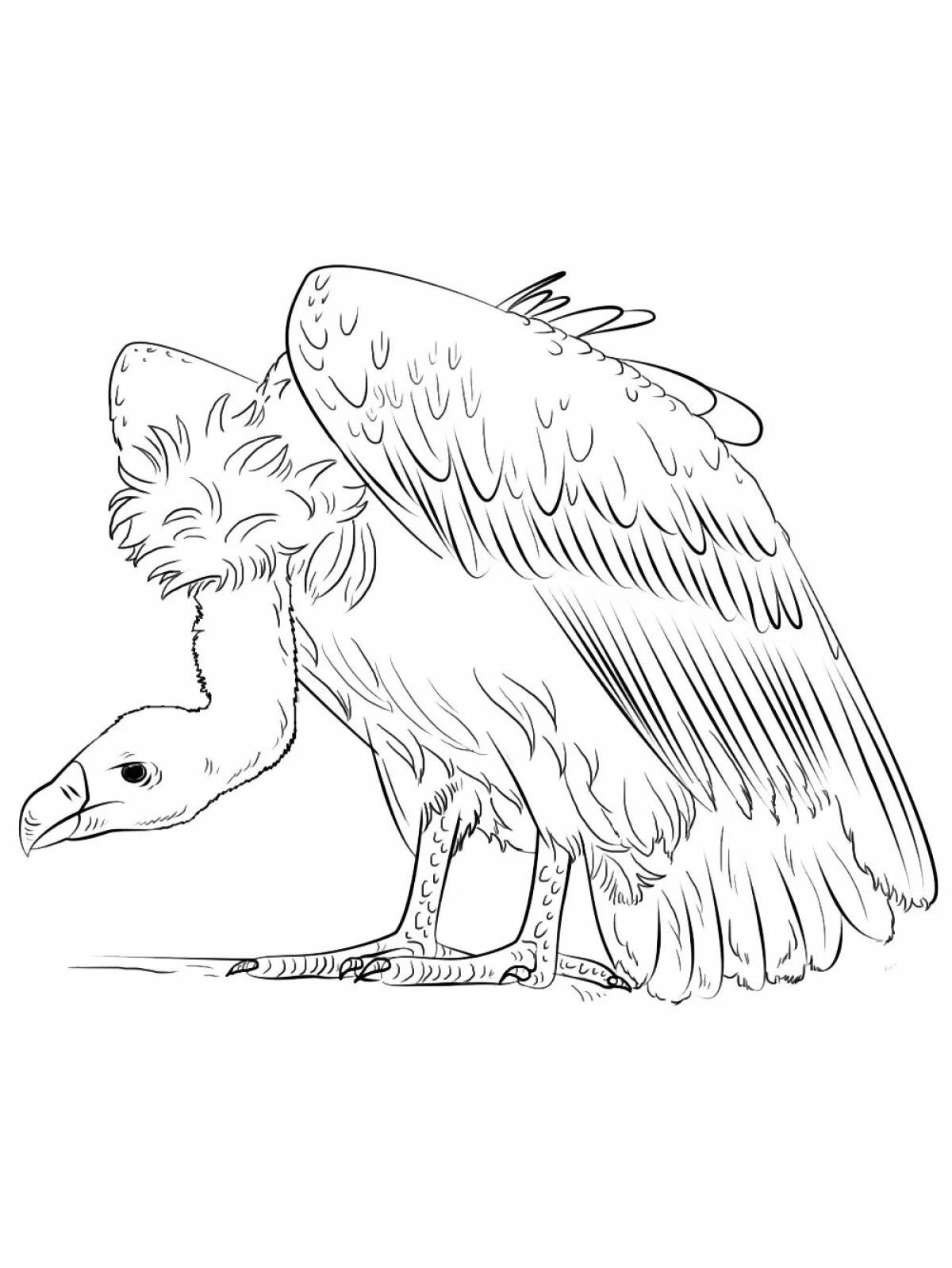 Great vulture coloring book
