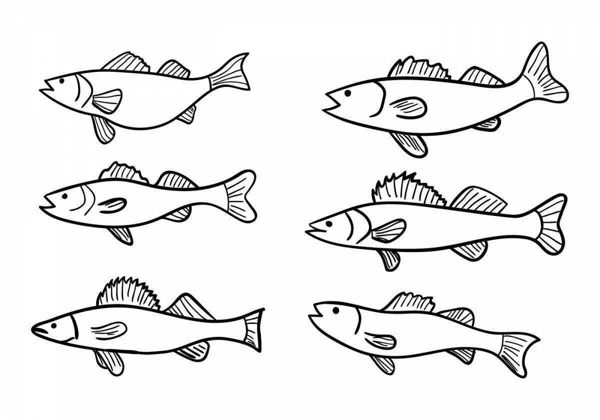 Charming pike perch coloring book