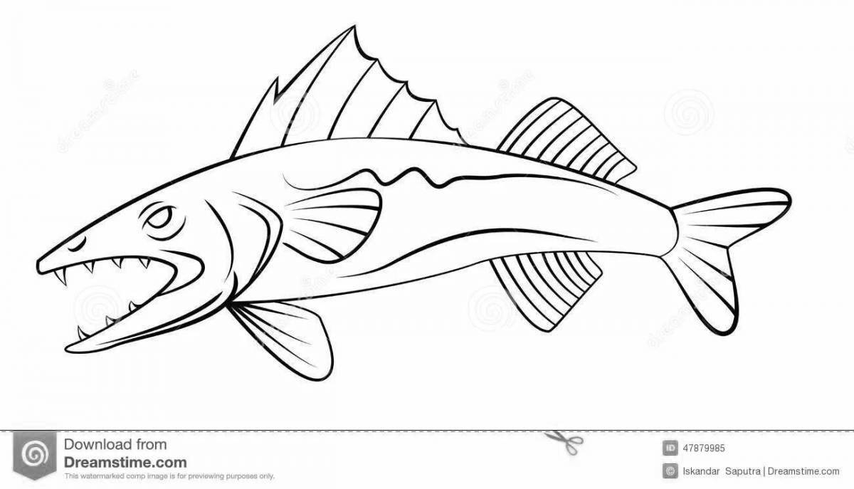 Творческая раскраска судак