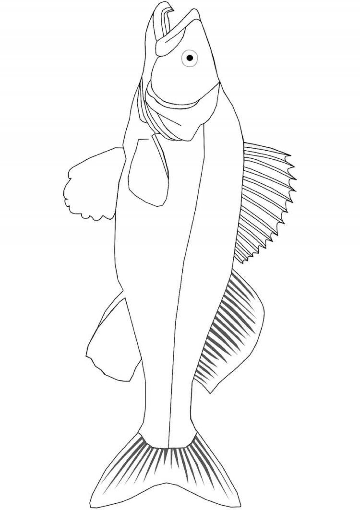 Distinctive walleye coloring page