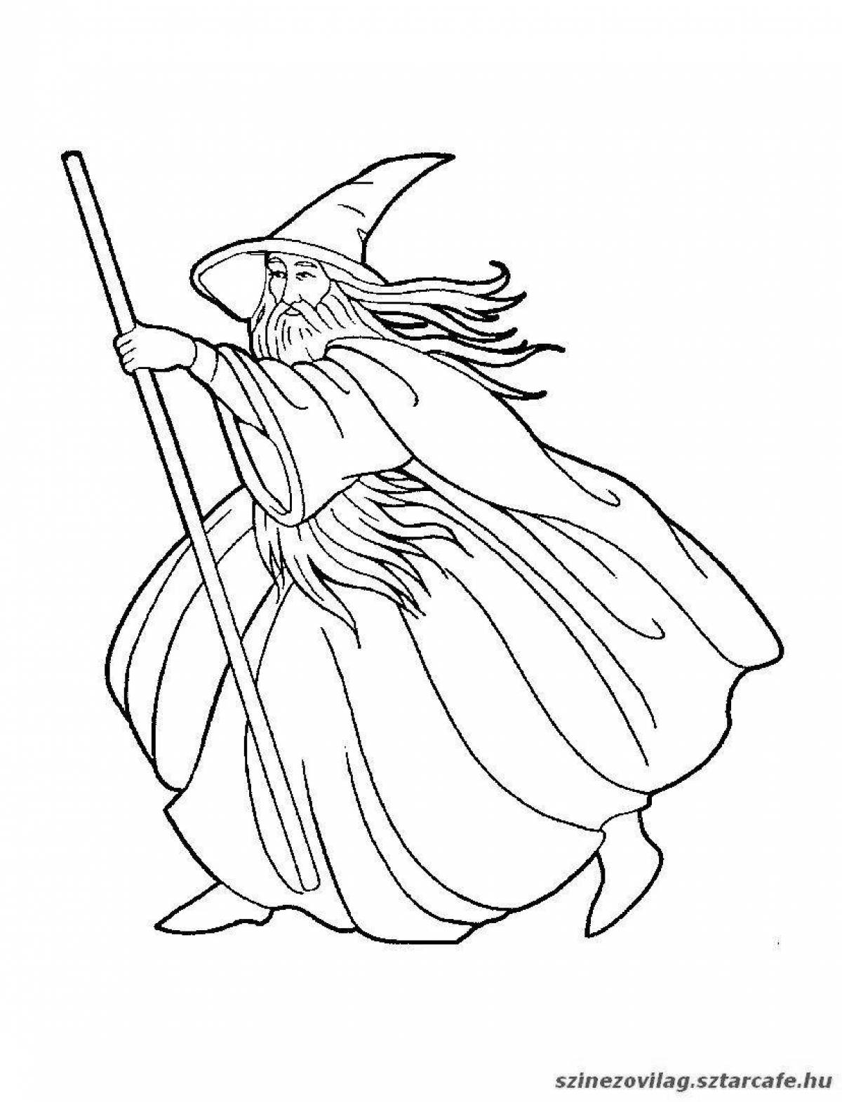 Coloring majestic wizard