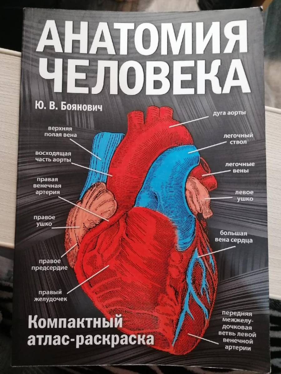 Юрий Боянович: анатомия человека. Компактный атлас-раскраска