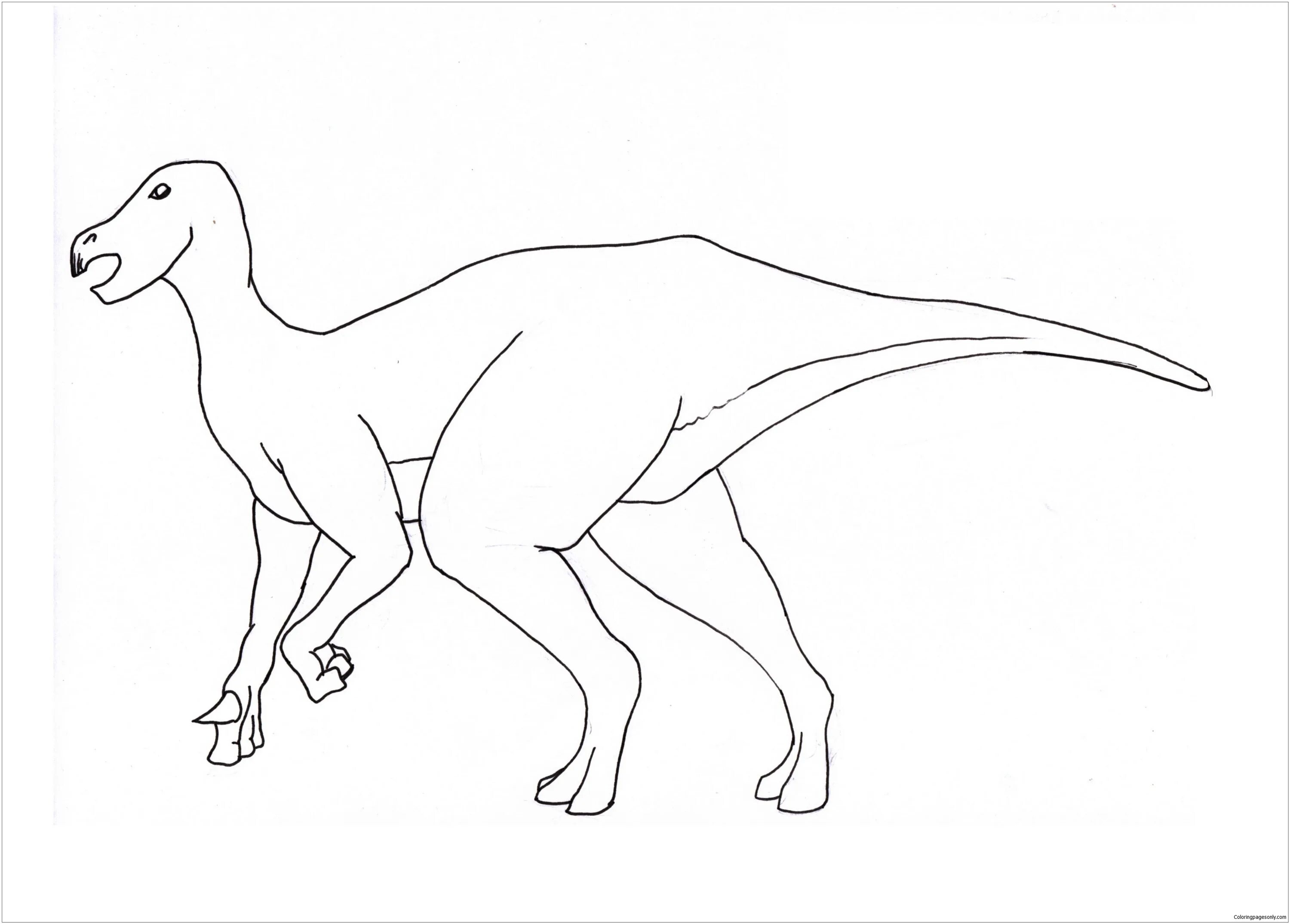 Iguanodon #3