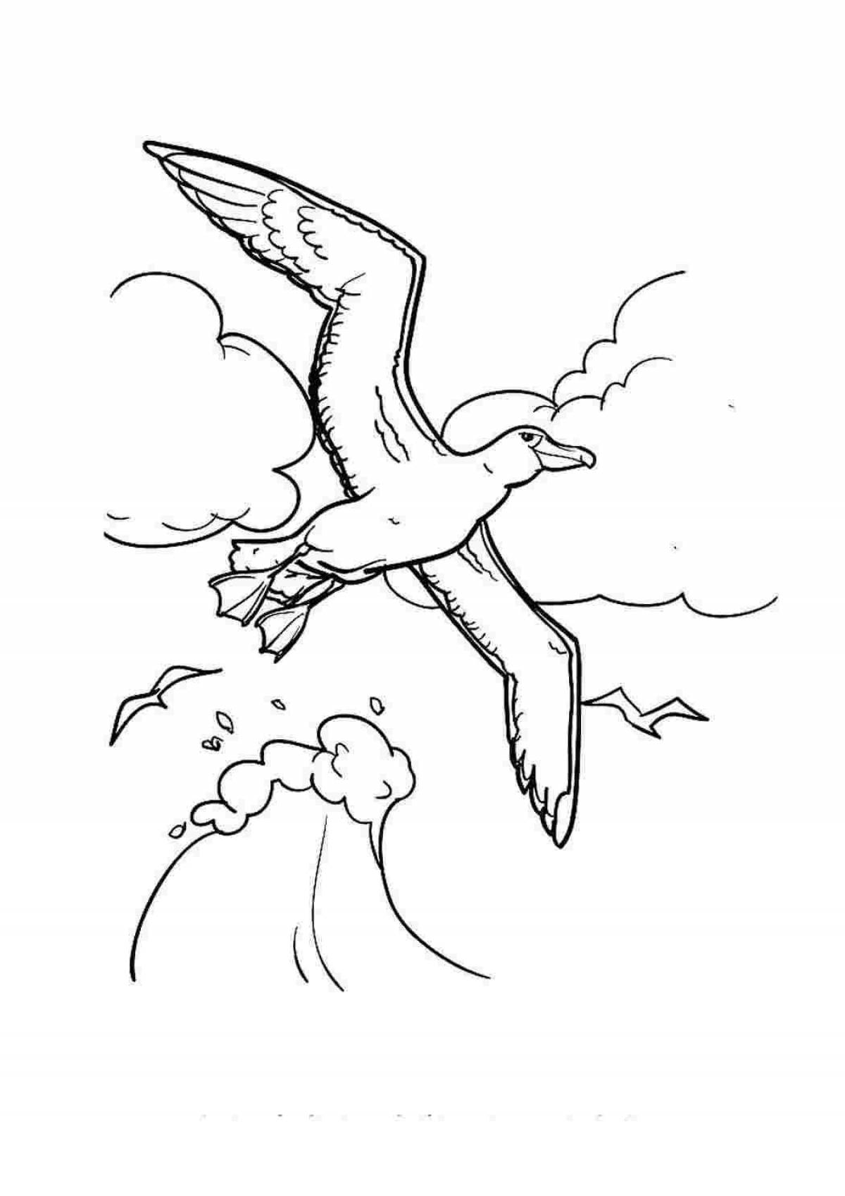 Playful seagull coloring book for kids