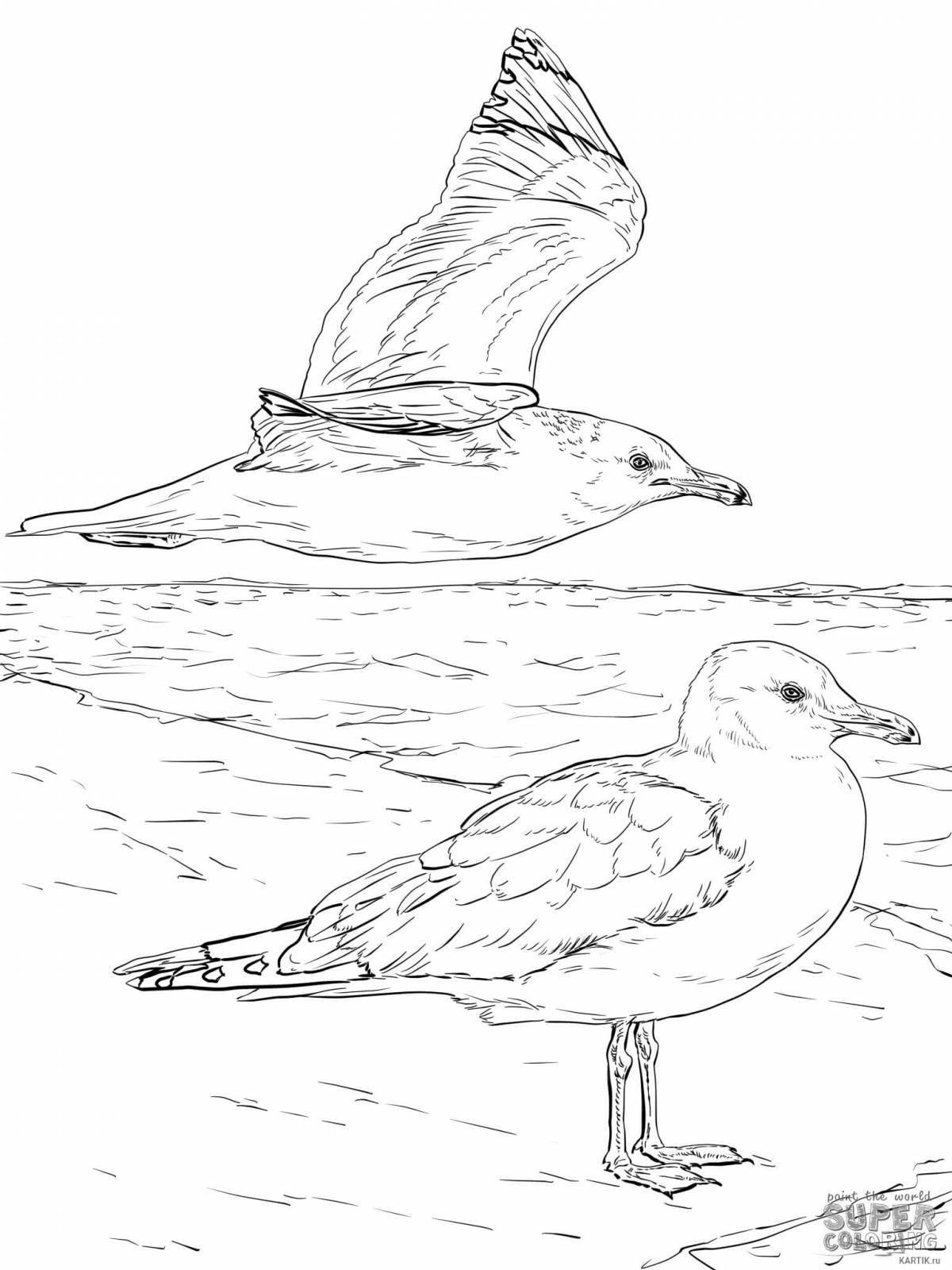 Cheerful seagull coloring for children
