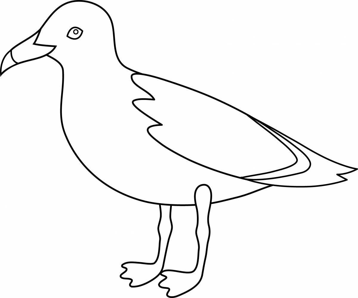 Coloring seagull for kids
