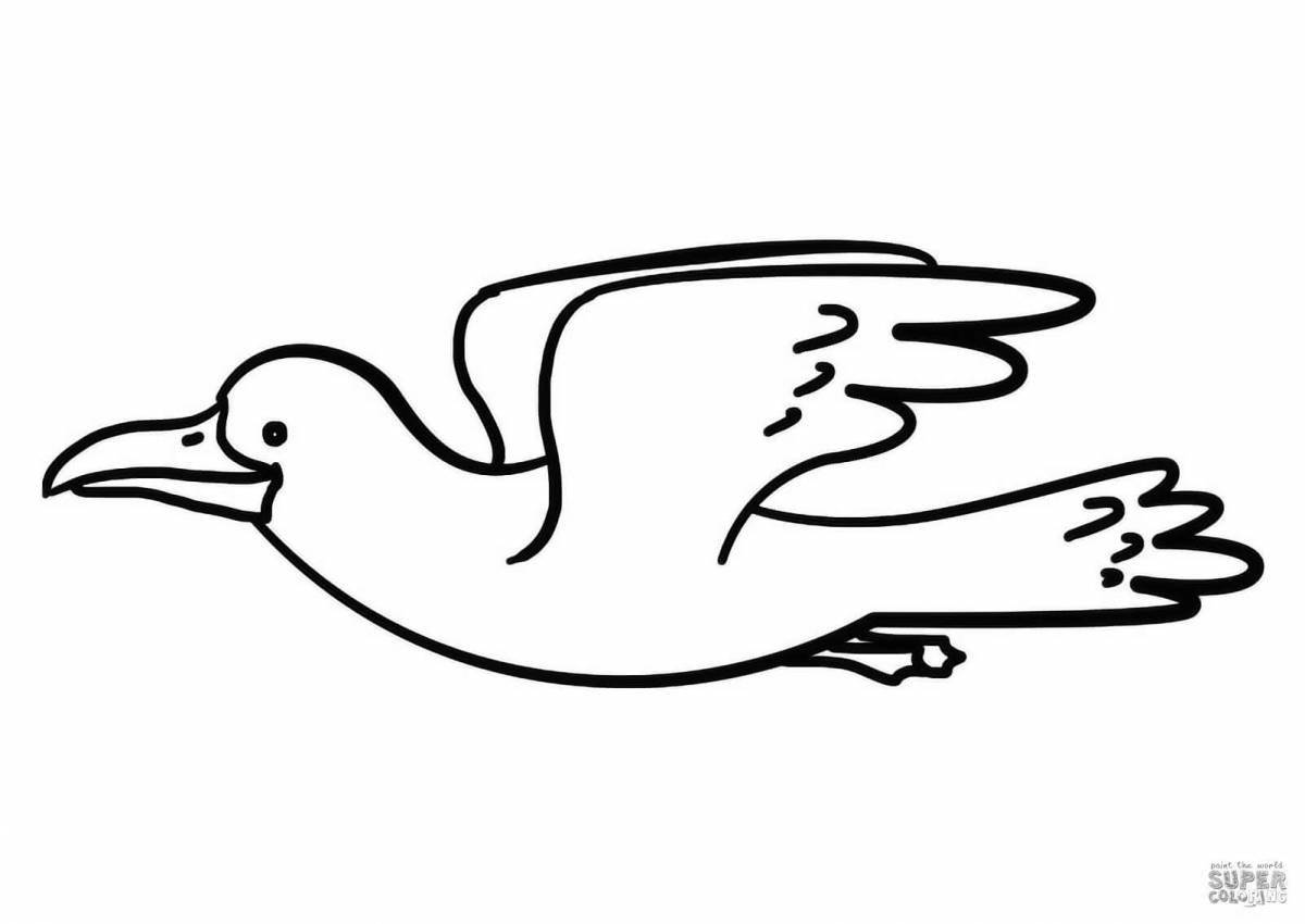 Adorable seagull coloring book for kids