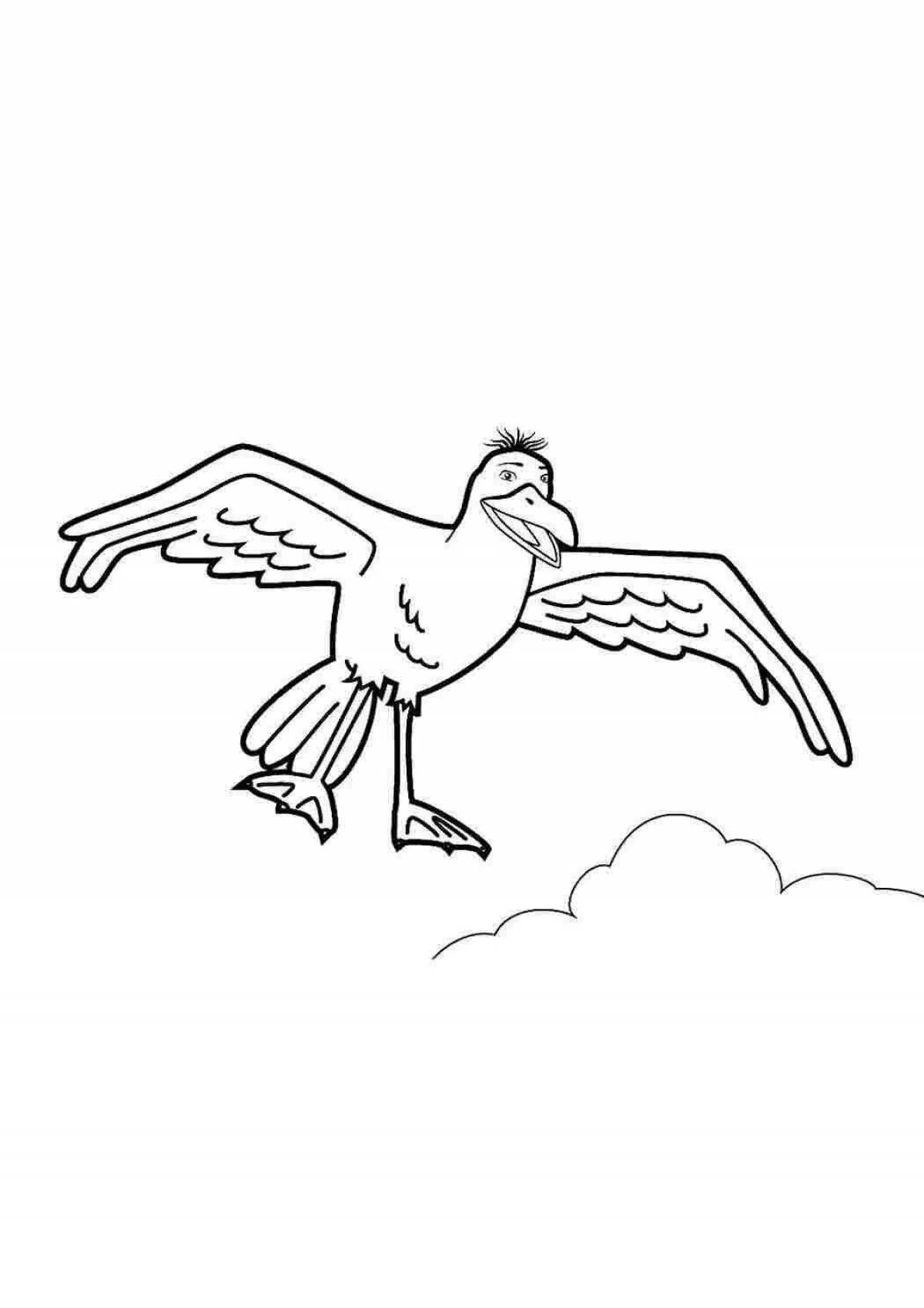 Colored seagull coloring book for children