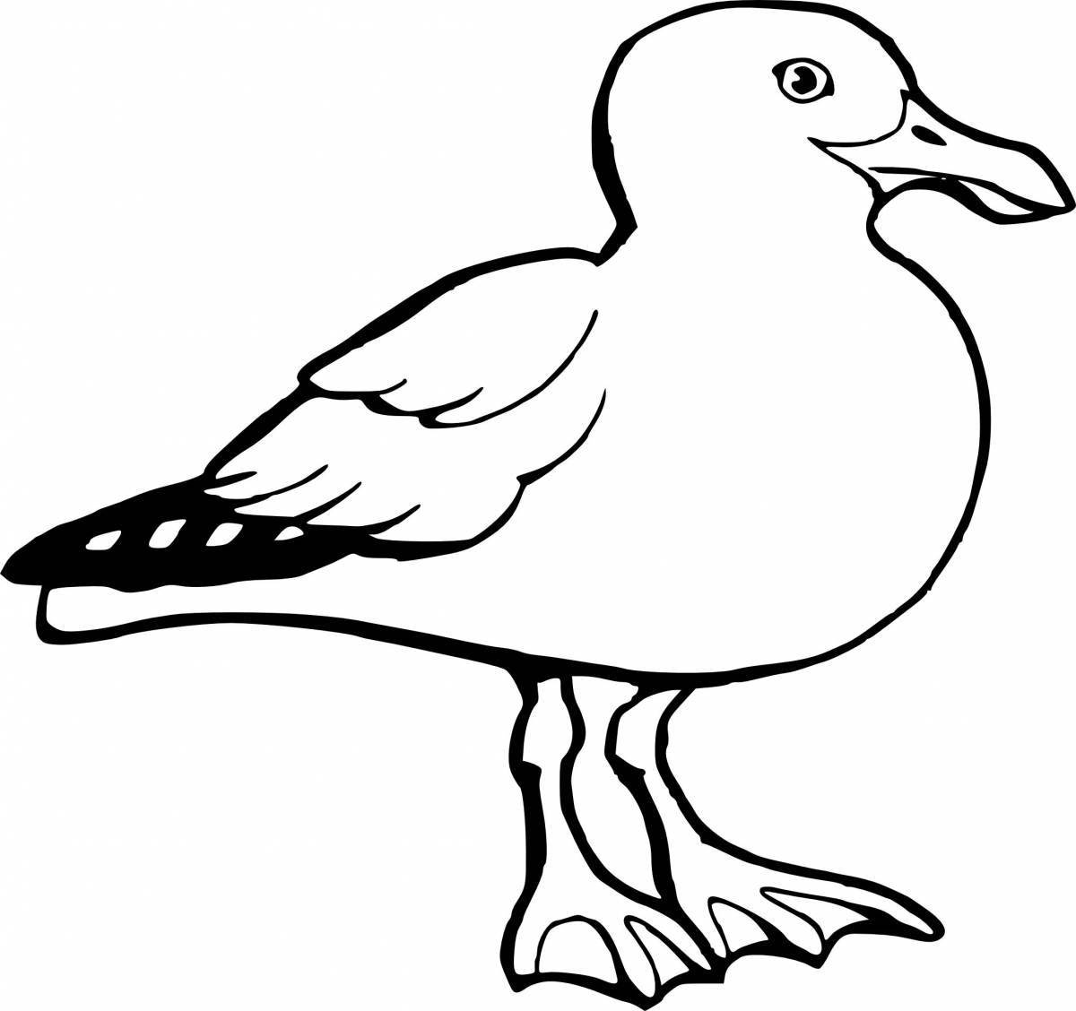 Children's coloring seagull