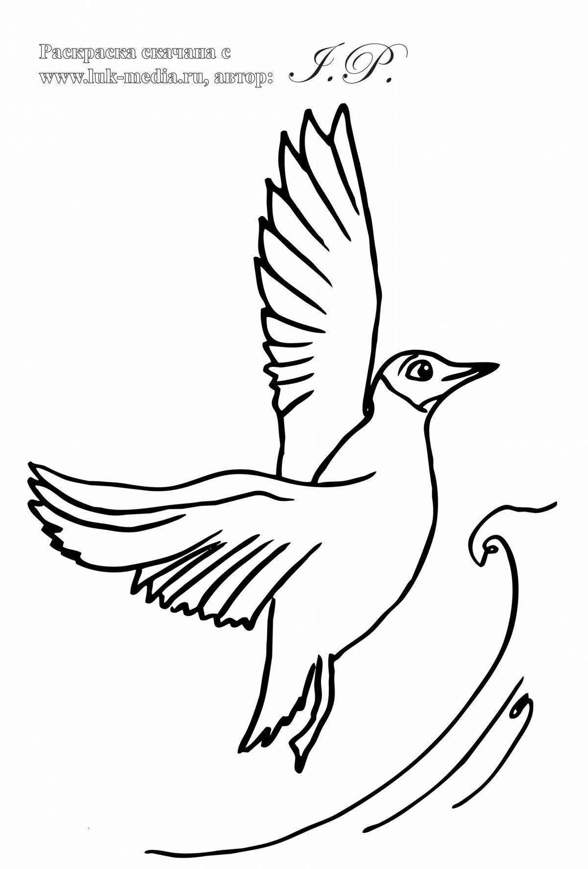 Live seagull coloring book for kids