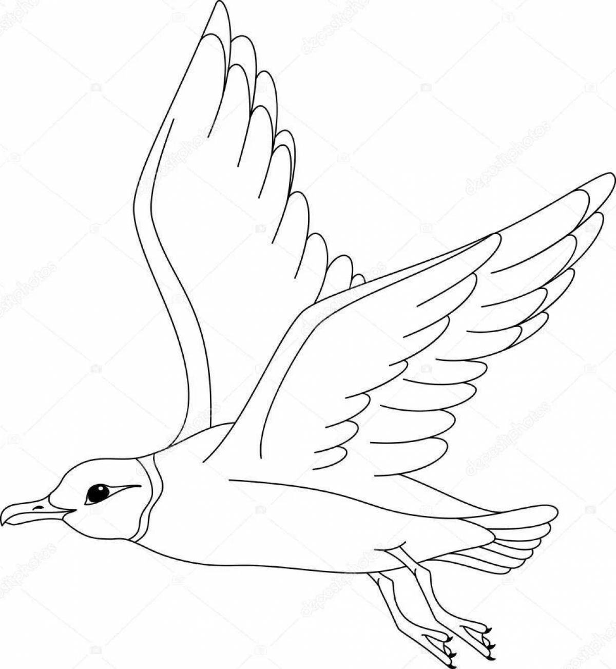 Fun coloring seagull for kids