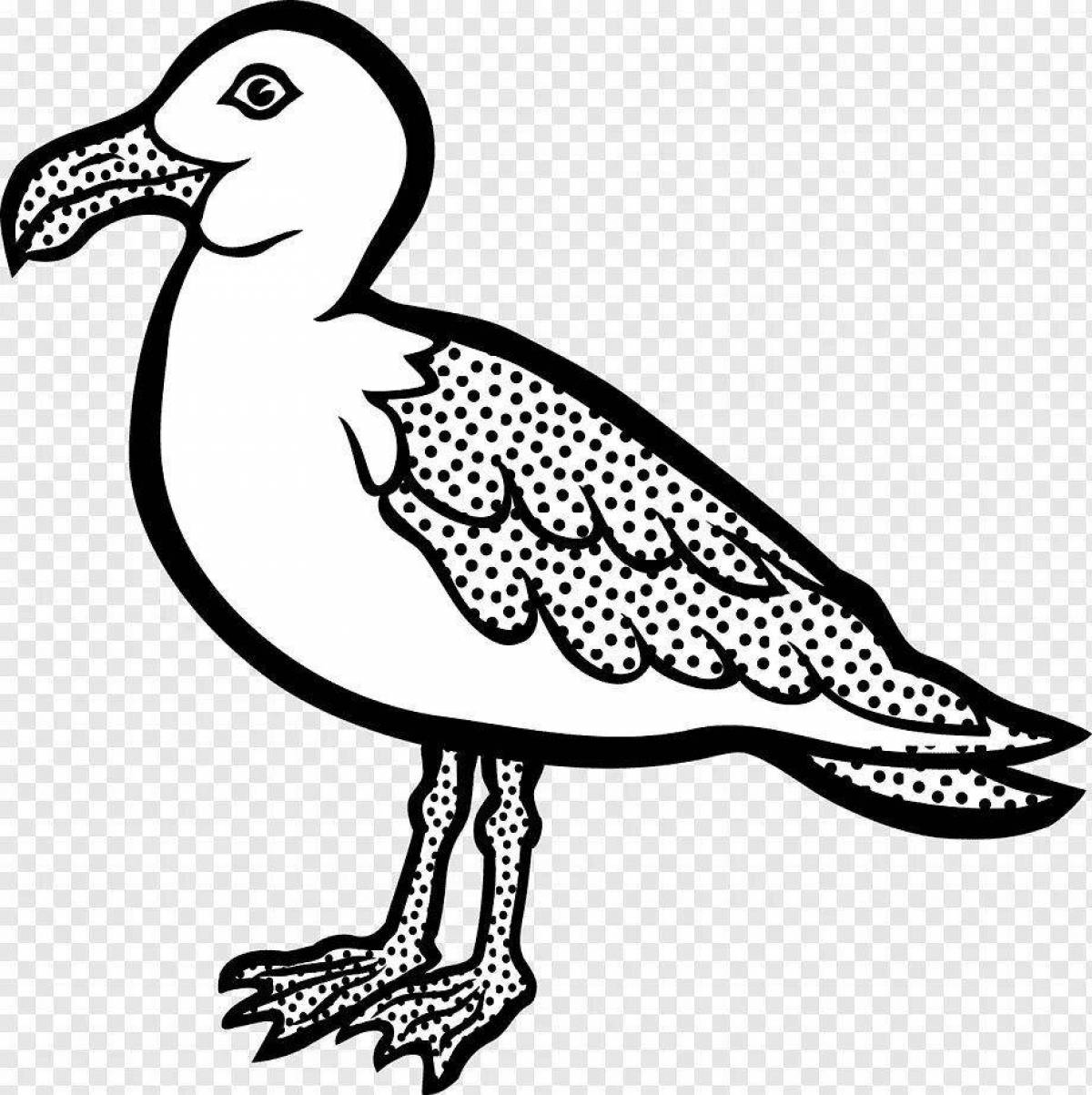 Amazing seagull coloring book for kids
