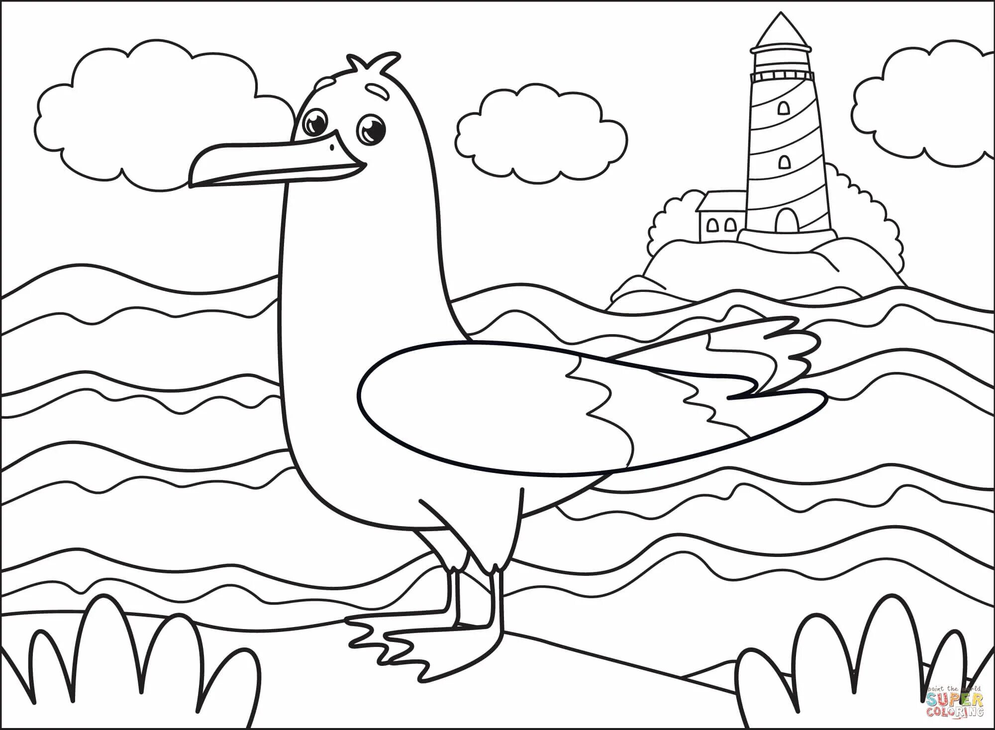 Colored seagull coloring book for kids