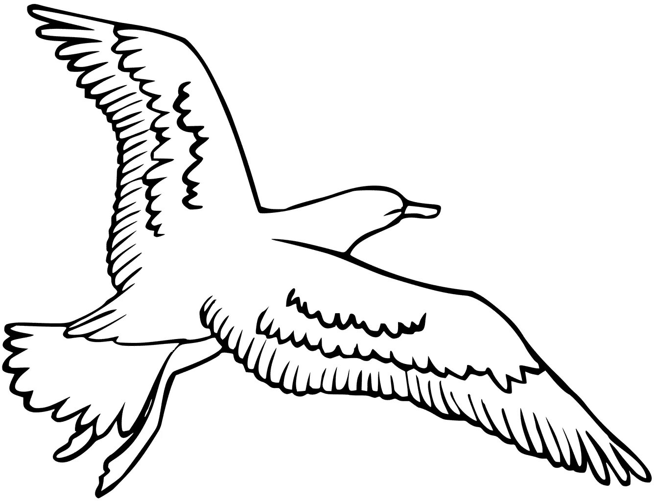 Colored seagull-explosion coloring book for children