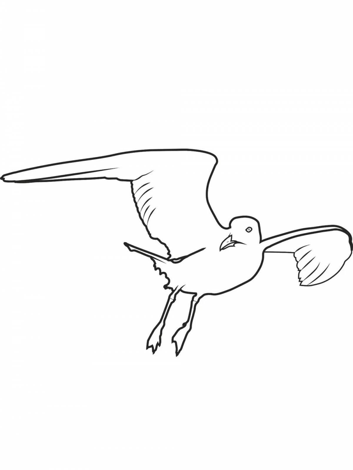 Seagull coloring pages for kids