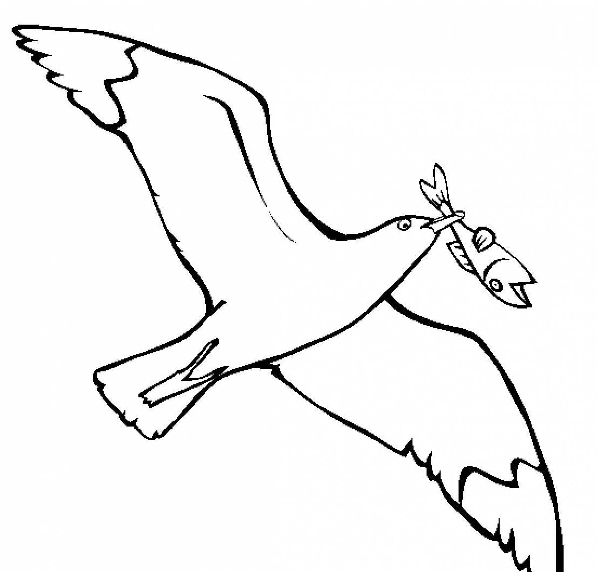 Coloring pages with seagulls for children