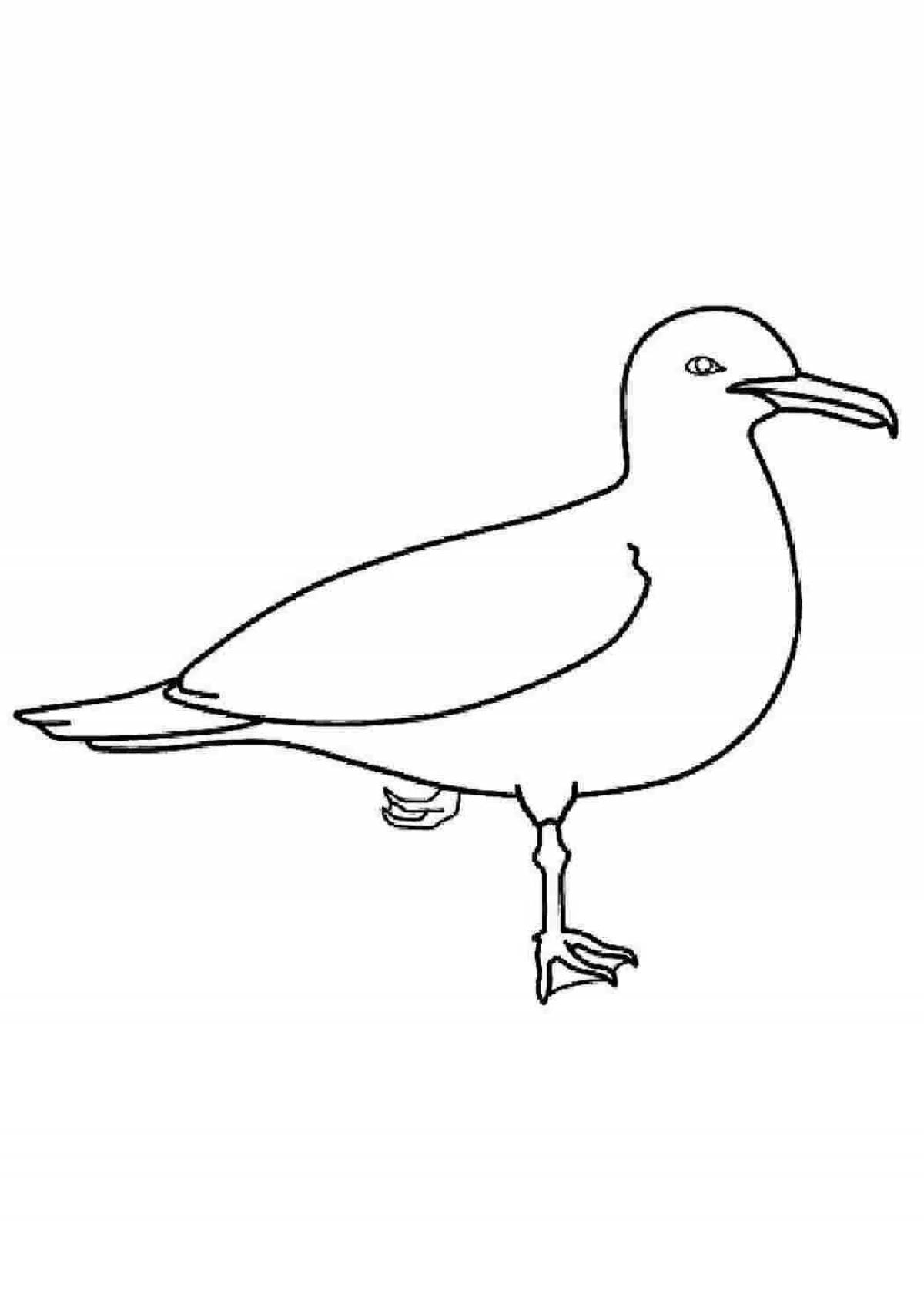 Colored crazy seagull coloring book for kids