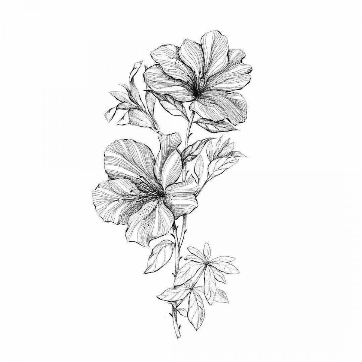 Awesome azalea coloring page