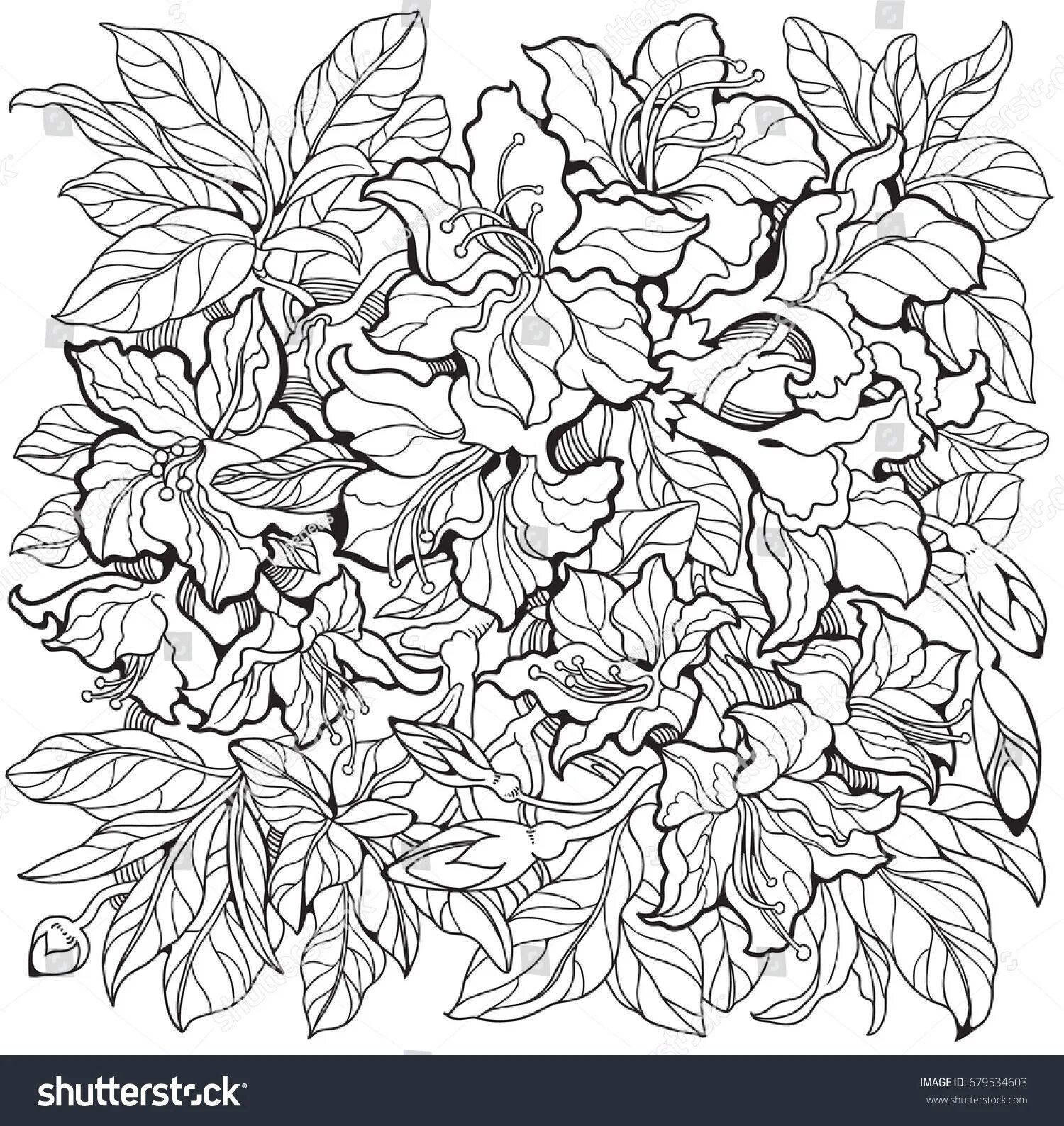 Attractive azalea coloring page