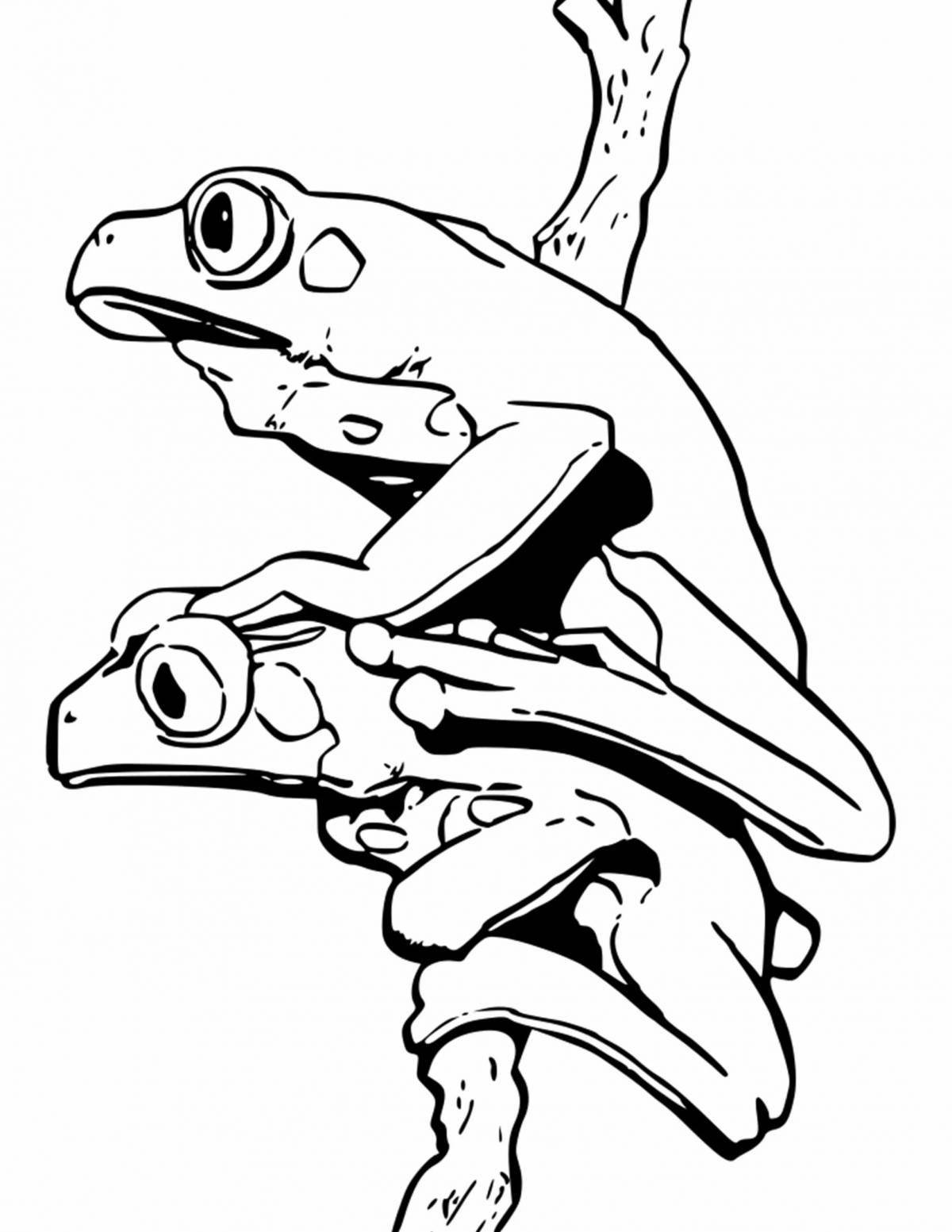 Coloring book funny tree frog