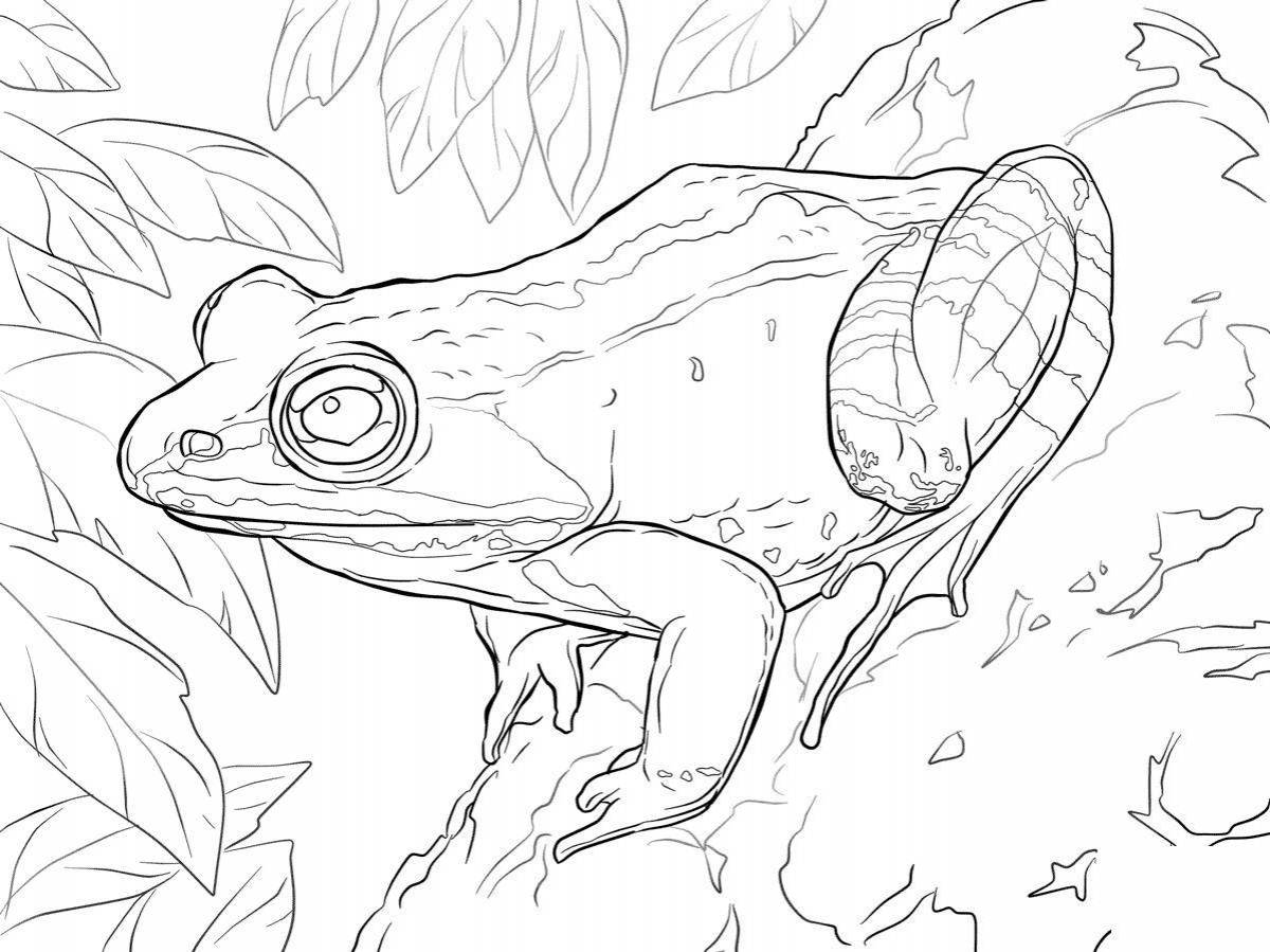 Violent tree frog coloring page