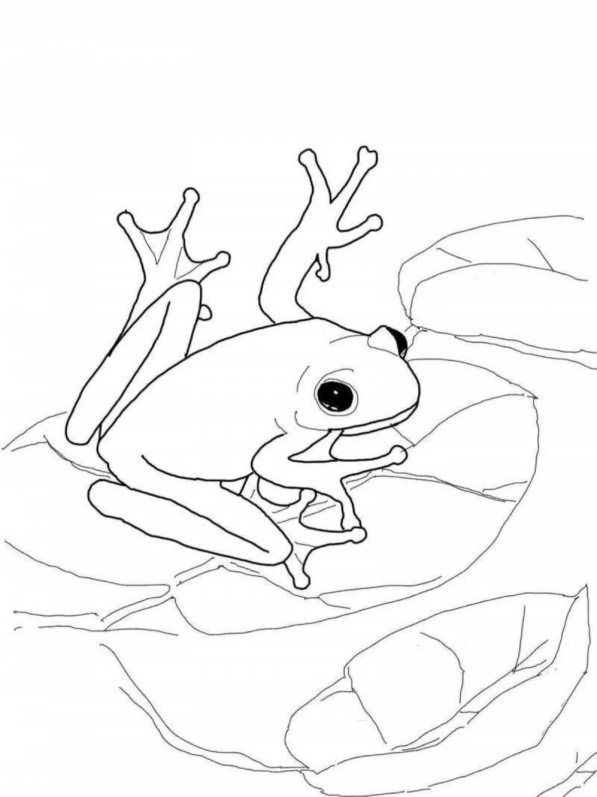 Adorable tree frog coloring page