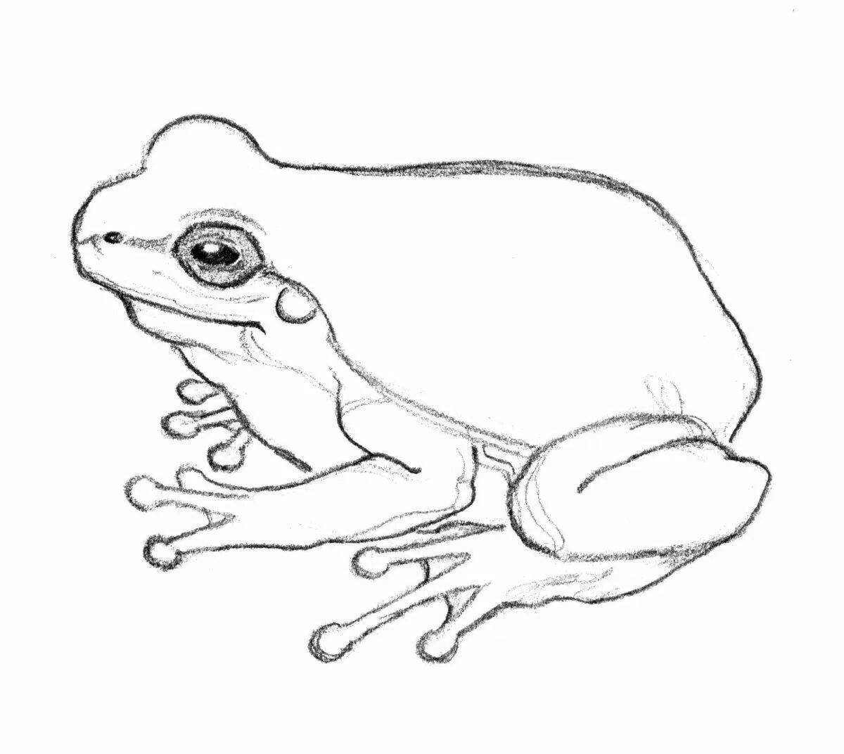 Majestic tree frog coloring page