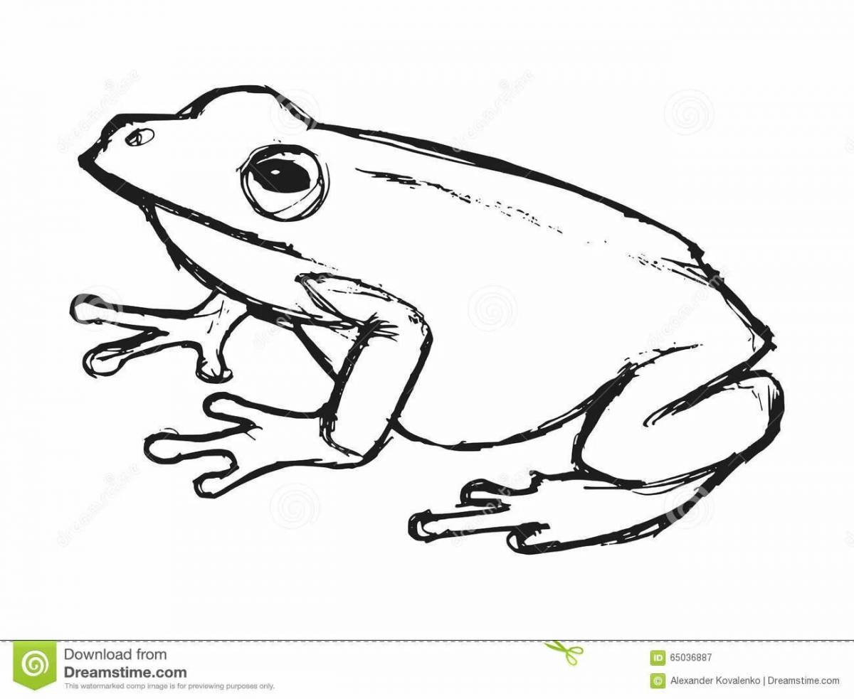 Coloring page spectacular tree frog