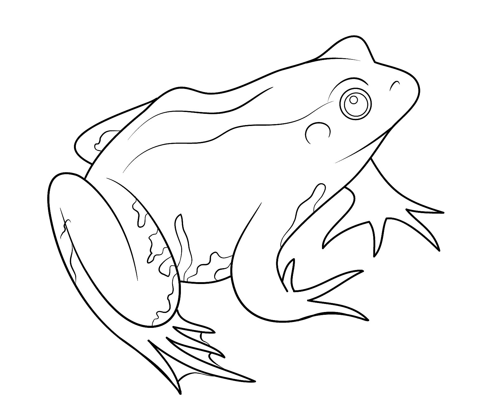 Coloring book unusual tree frog