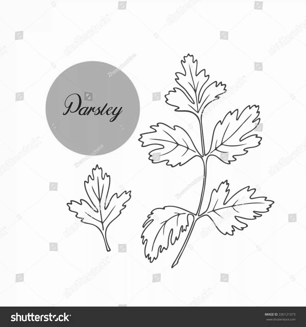 Fun coloring book with cilantro