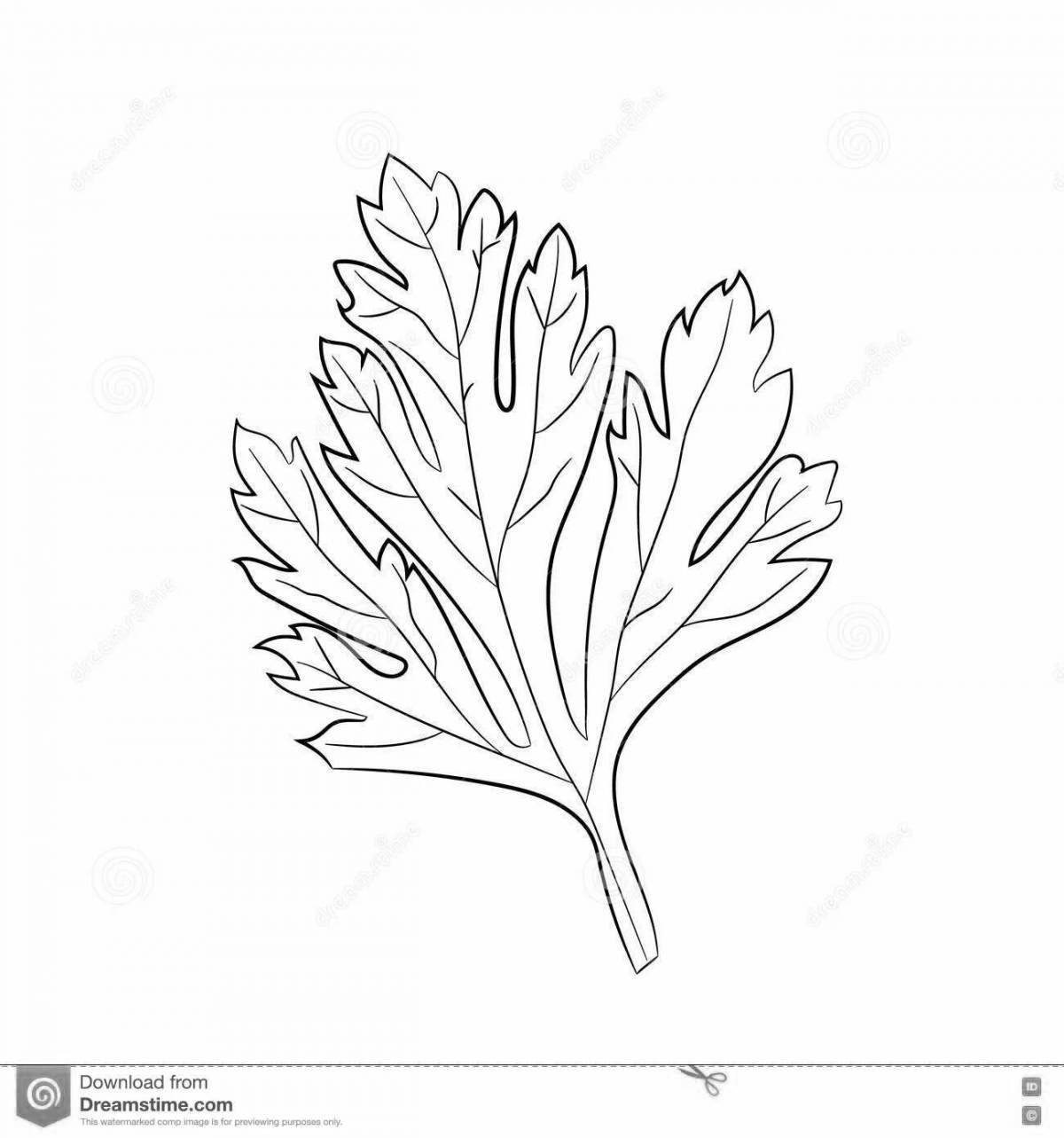 Awesome cilantro coloring page