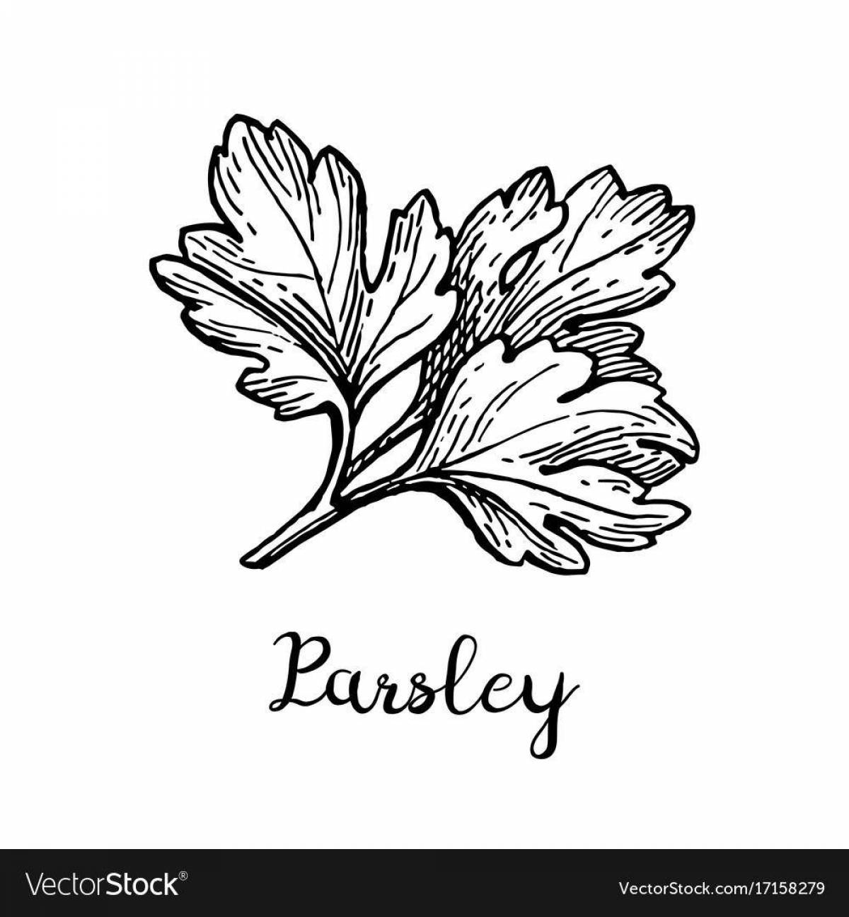 Coloring book gorgeous cilantro