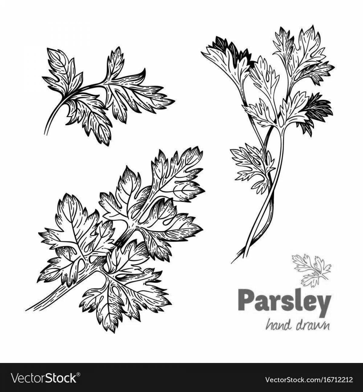 Elegant cilantro coloring