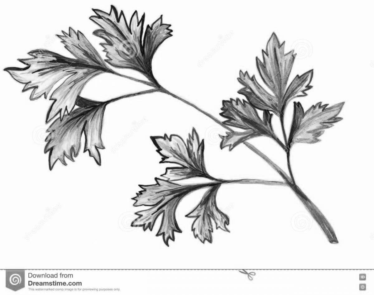 Coloring page graceful cilantro