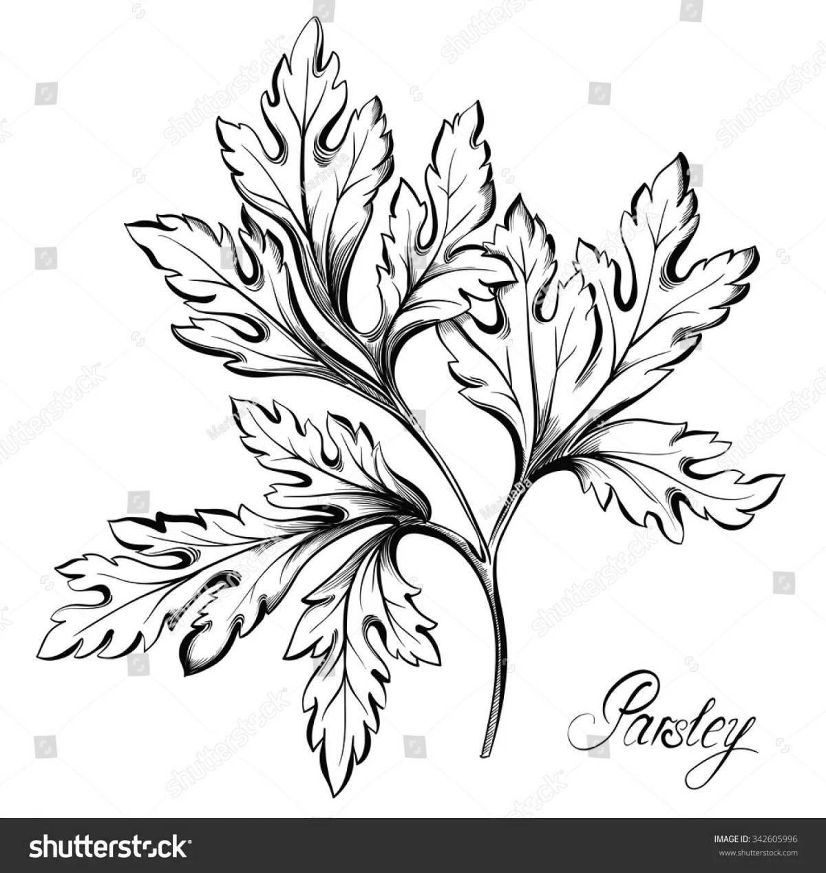 Modern cilantro coloring page