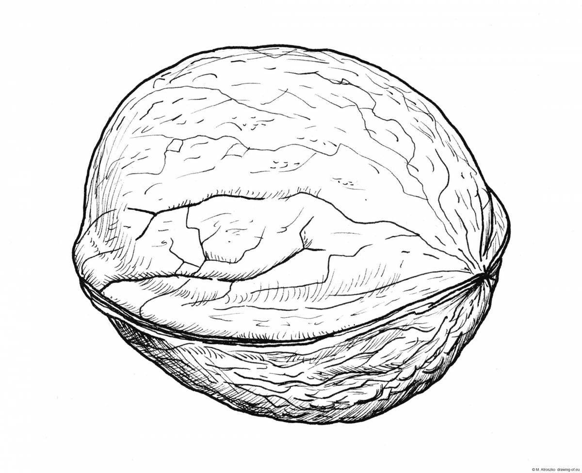 Раскраска Восхитительная раскраска орех