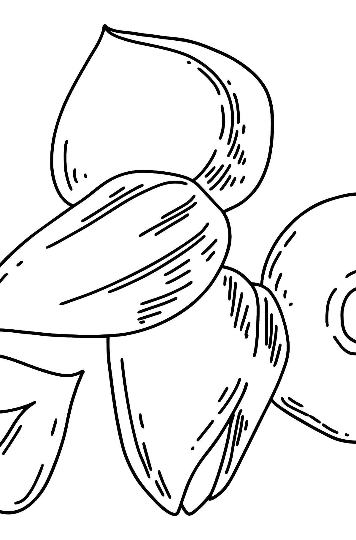 Раскраска Веселая раскраска орех