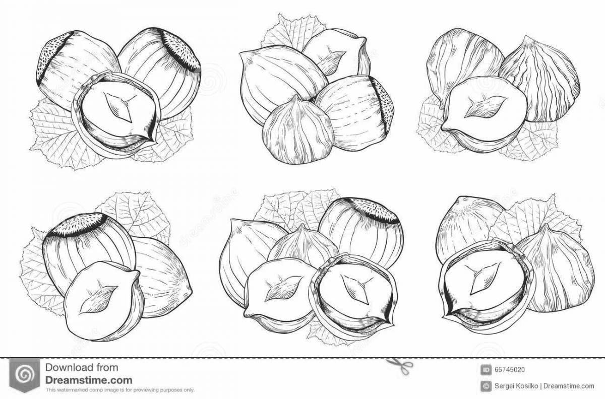 Яркая раскраска орех