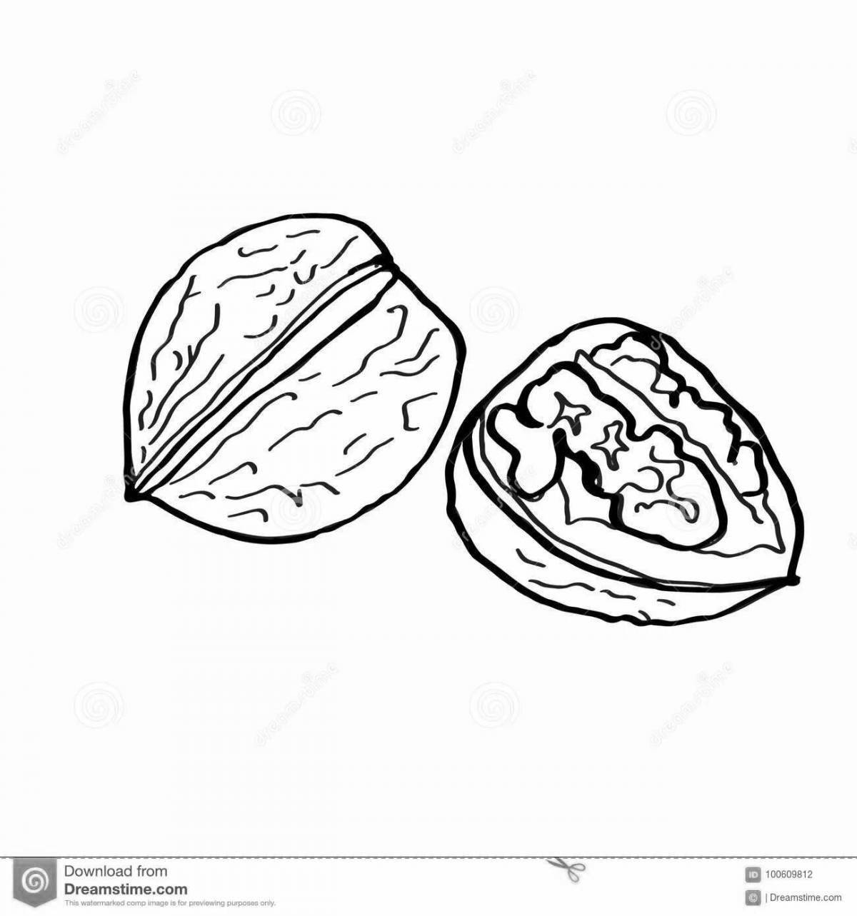 Раскраска Игривая раскраска орех